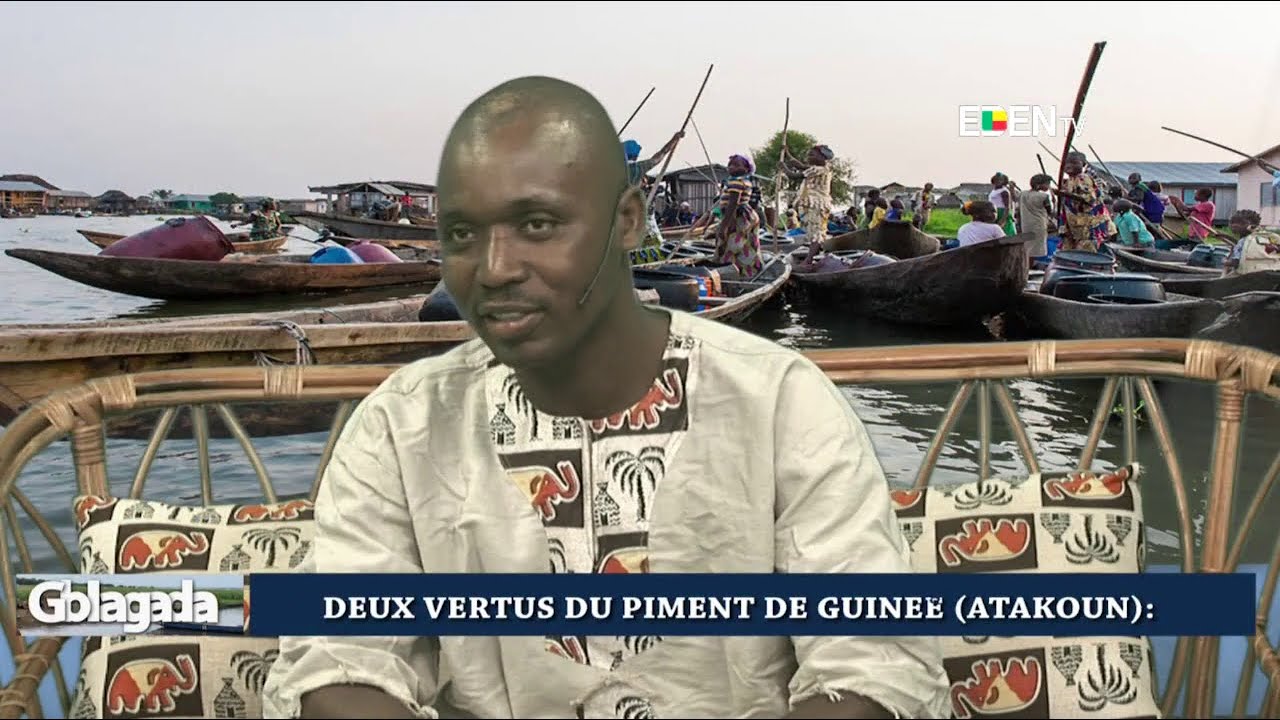 Deux vertus du piment de guinée (ATAKOUN) | Nuyendevo