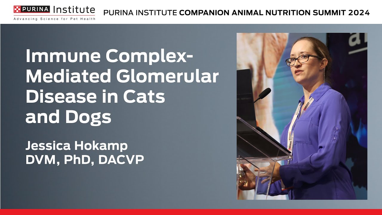 Immune Complex-Mediated Glomerular Disease in Cats and Dogs - Jessica Hokamp, DVM, PhD, DACVP