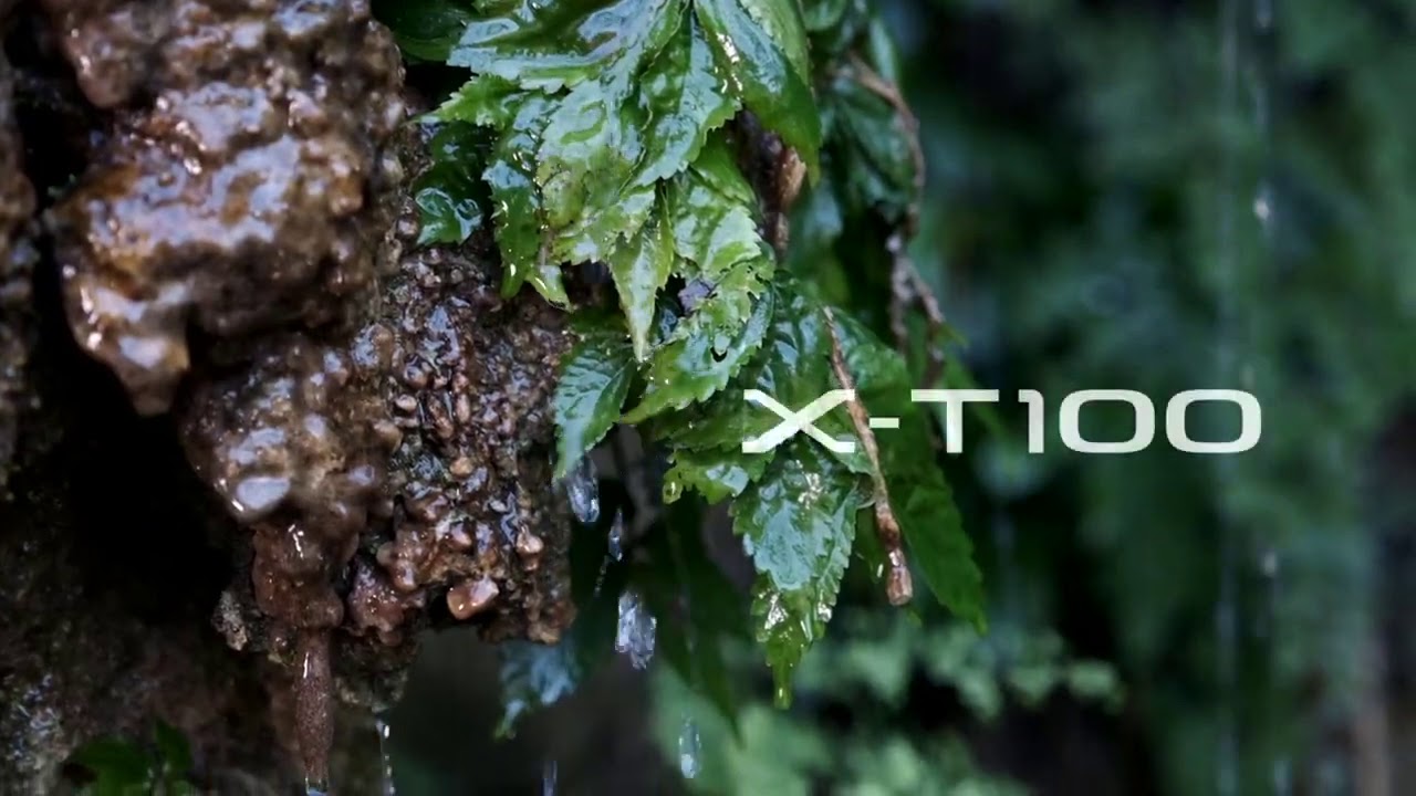 Fujifilm Xt100 travel review