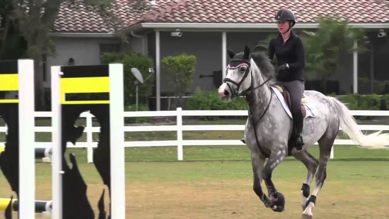 Team Karlswood in Florida