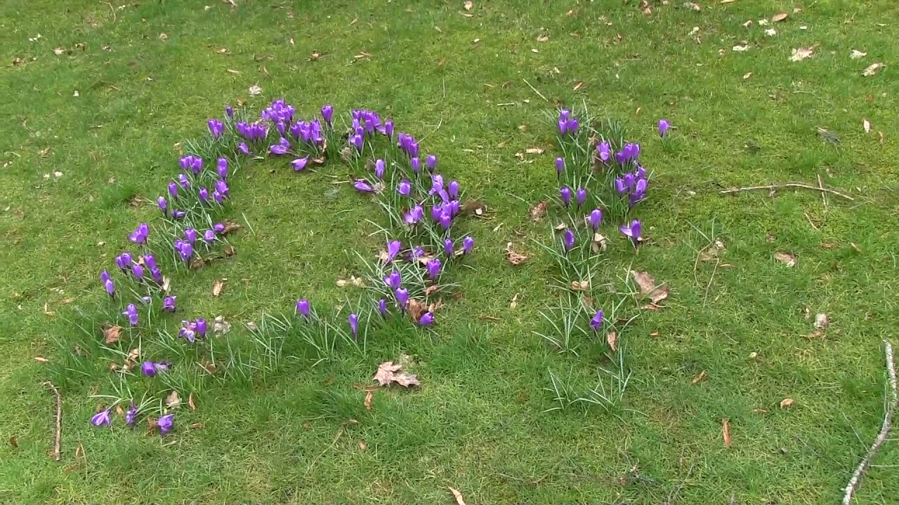 Noaberpad Westerwolde deel 2