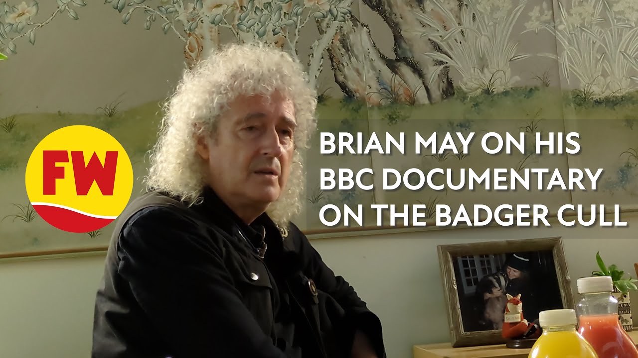 Brian May: ‘Badgers are irrelevant in spread of cattle TB’