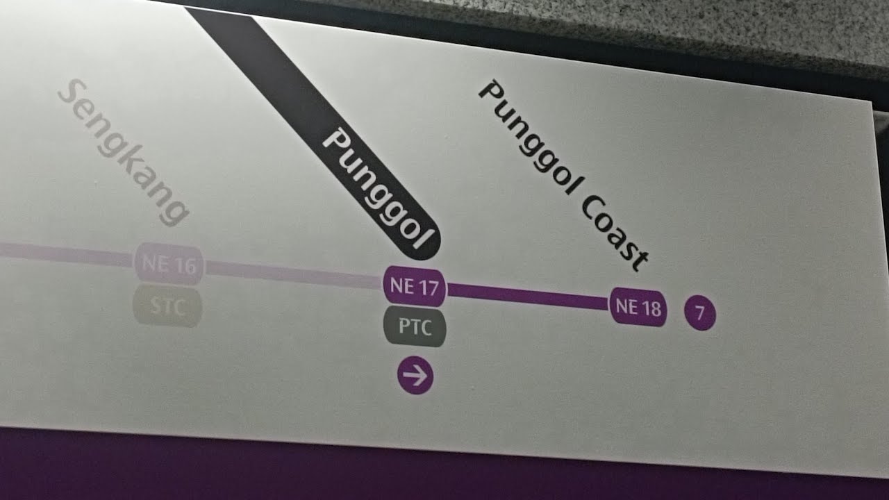 LIVE: First moments of operation for Punggol Coast MRT Station