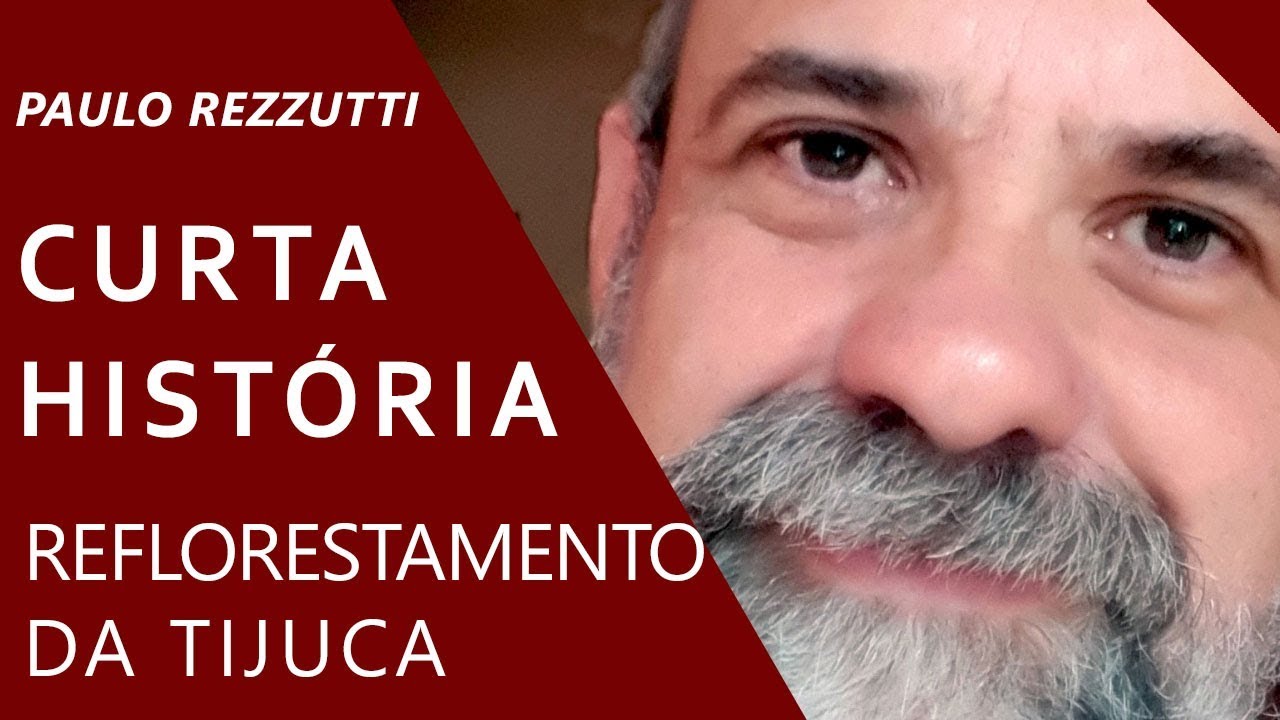 Reflorestamento da Floresta da Tijuca
