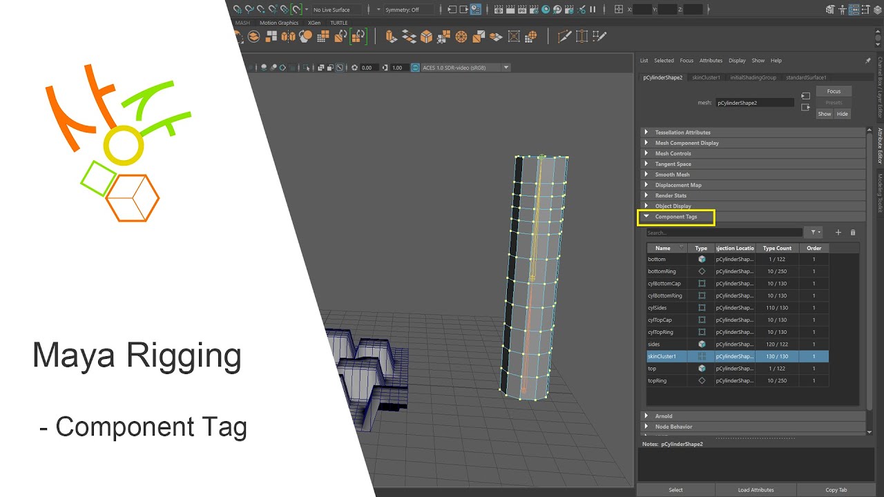 Maya Rigging - component tag를 활용하여 deformer의 membership 편집하기