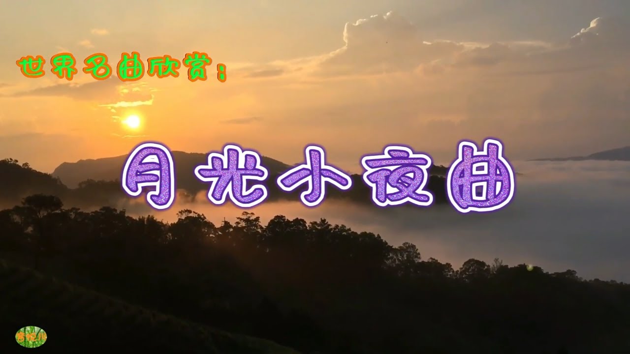 月光小夜曲 - 小提琴，世界名曲欣赏