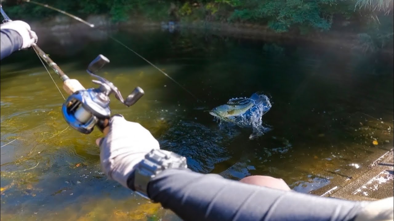 この釣り方が、本当に凄いんです...