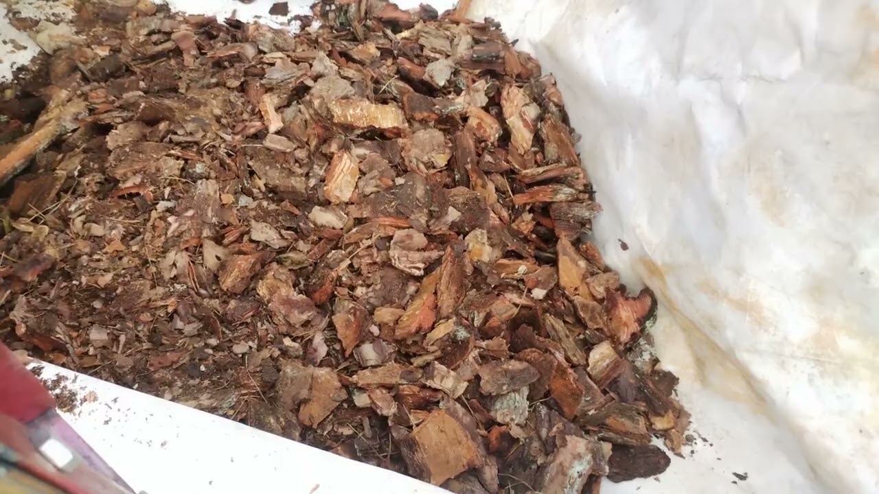 дробилка сосновой коры. первый пуск. разделение по фракциям.