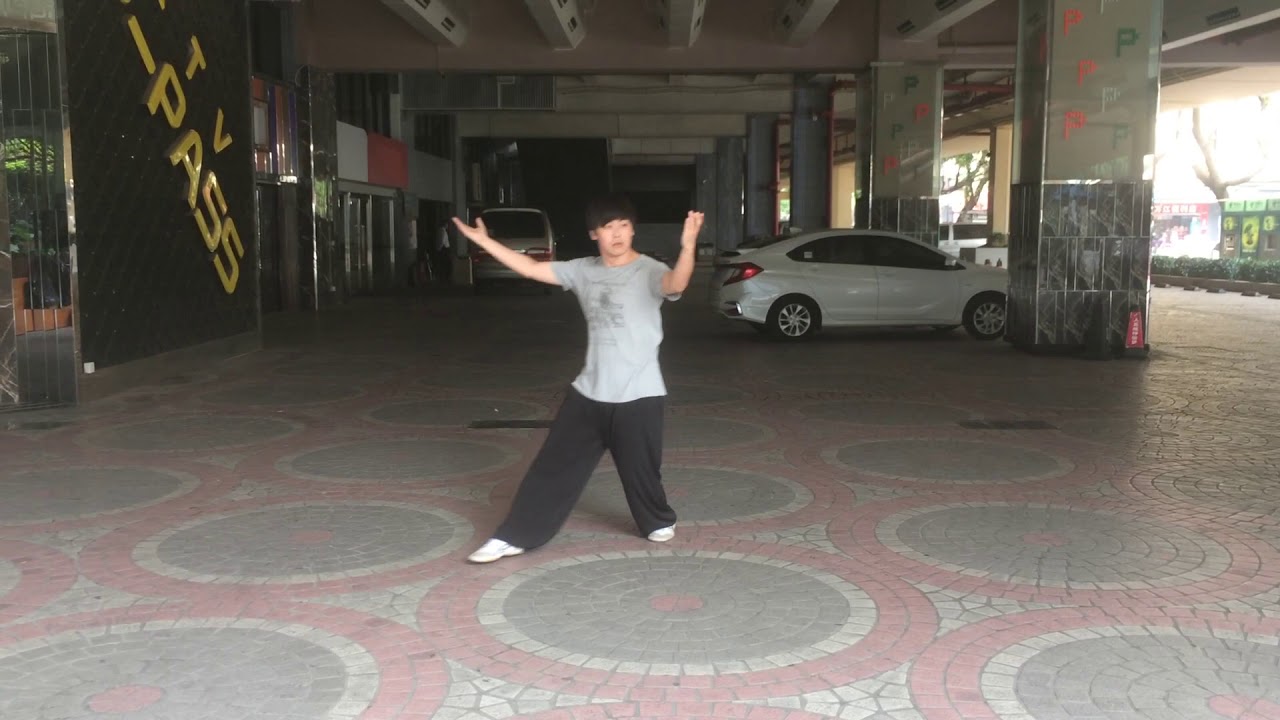 Fu Style Bagua Yin Palm 傅振嵩伝八卦掌　陰八卦「活」