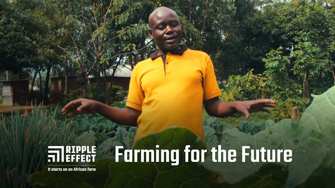 Ripple Effect: Farming for the Future