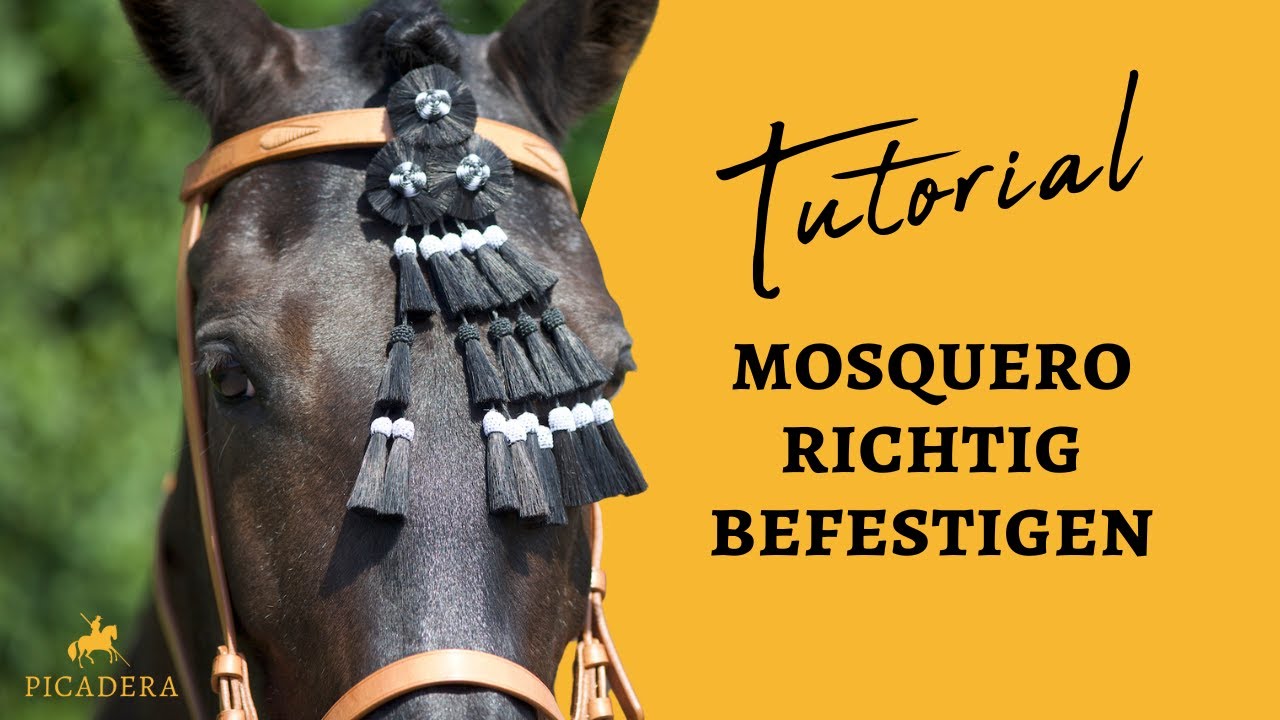 Mosquero befestigen: So einfach geht's!