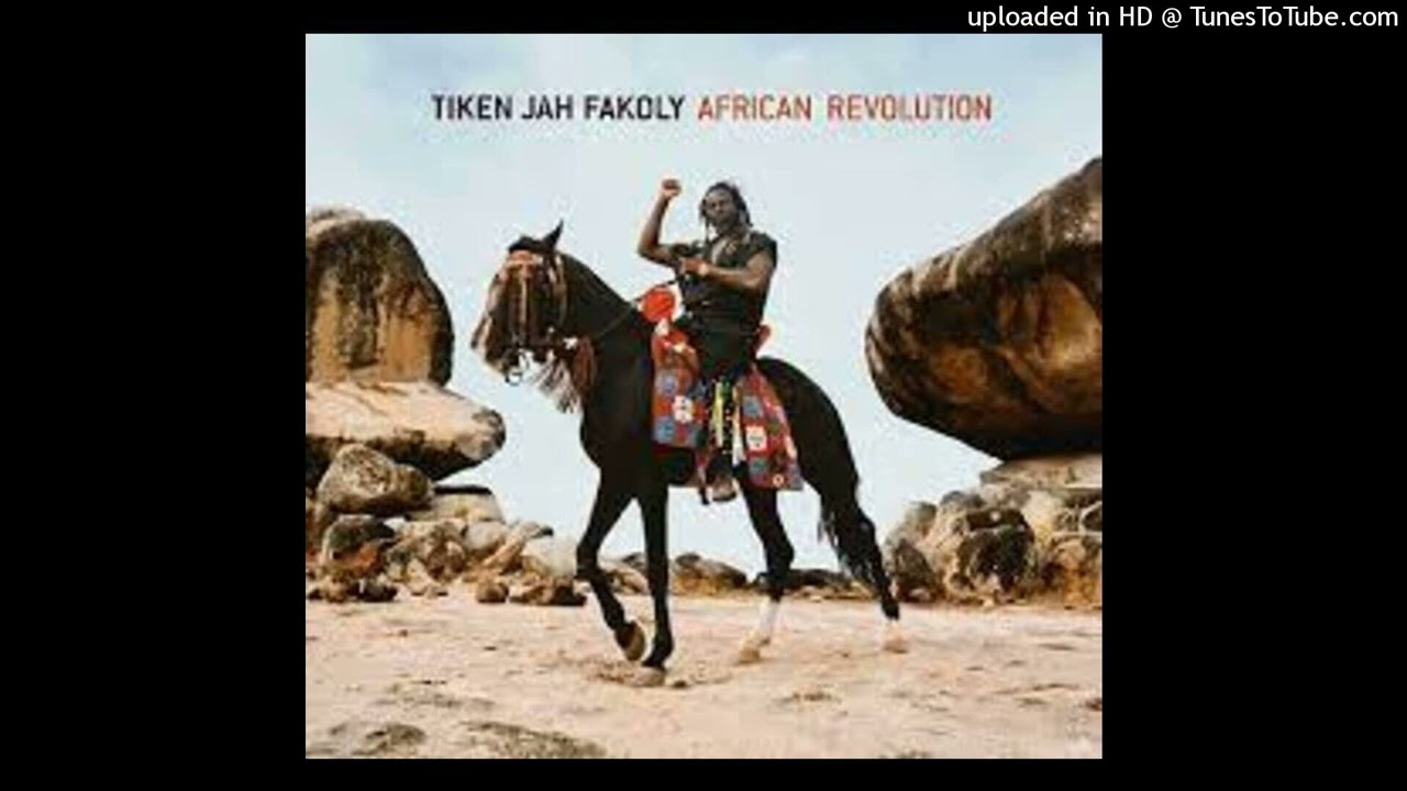 Tiken Jah Fakoly - 05 Political war