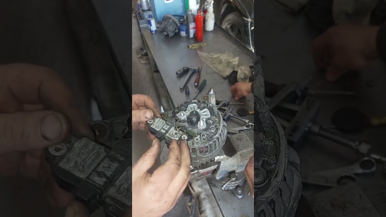 ١٩ فبراير ٢٠٢٦