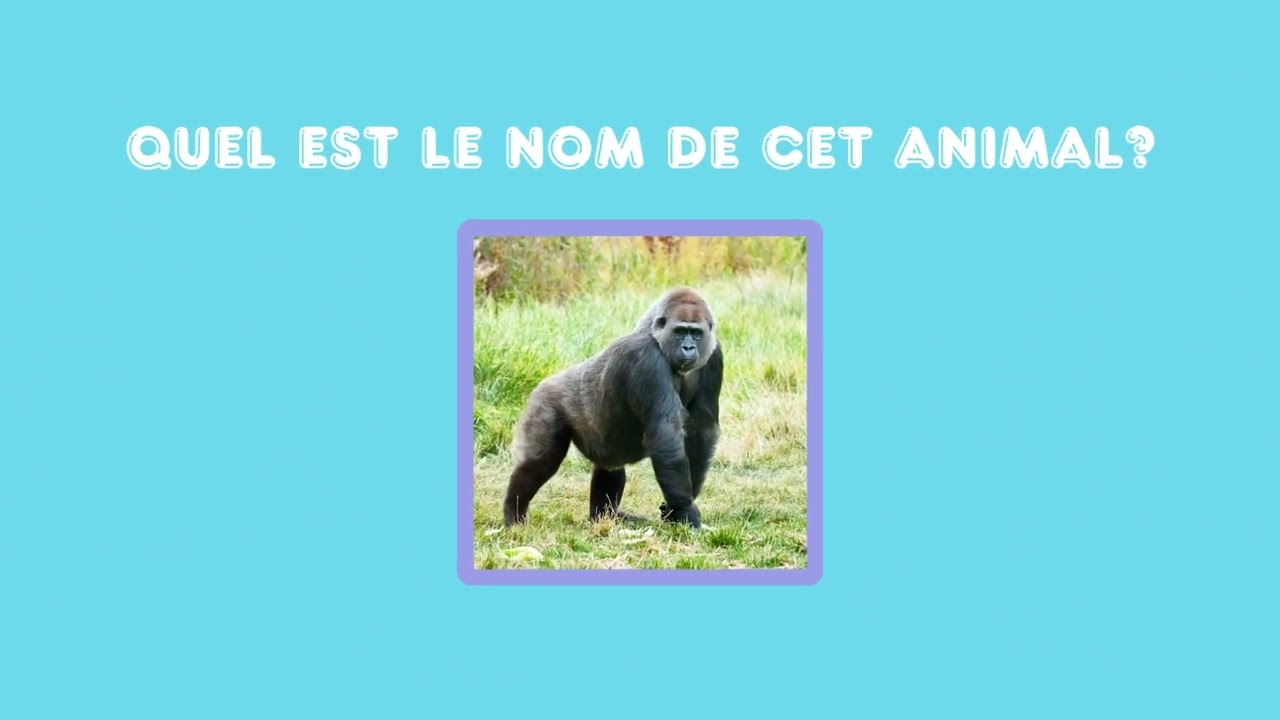 Trouve le nom des animaux de la jungle ! |🎨Babygum 
