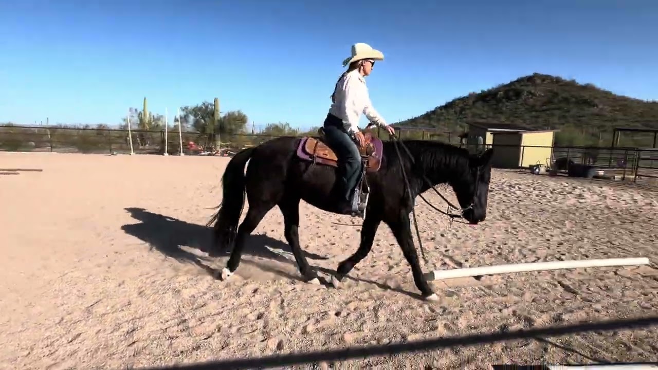 #122 WJ Ranch Trail