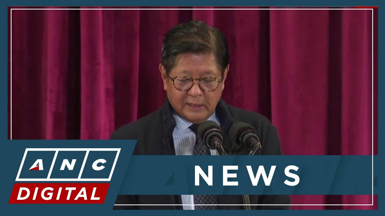De Lima: Opposition uniting with Marcos admin for 2028 polls still on the table | ANC