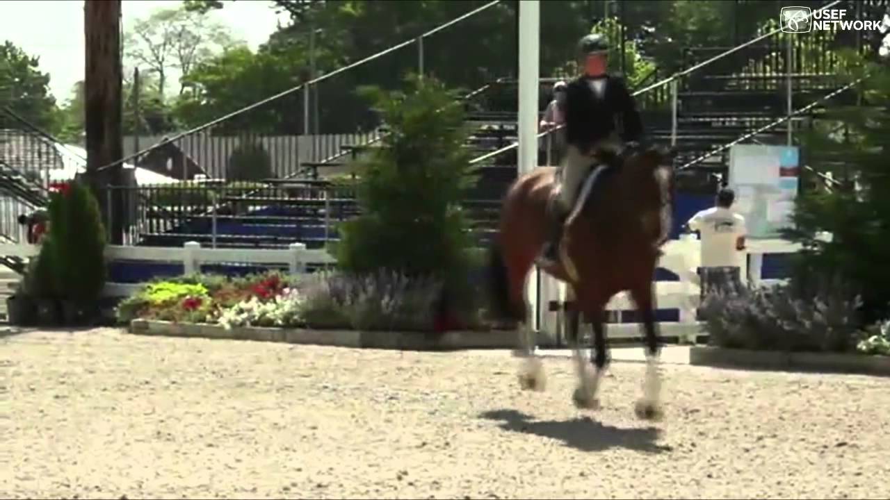Victoria Colvin & Inclusive win the $25,000 USHJA Int, Hunter Derby at #DevonHS