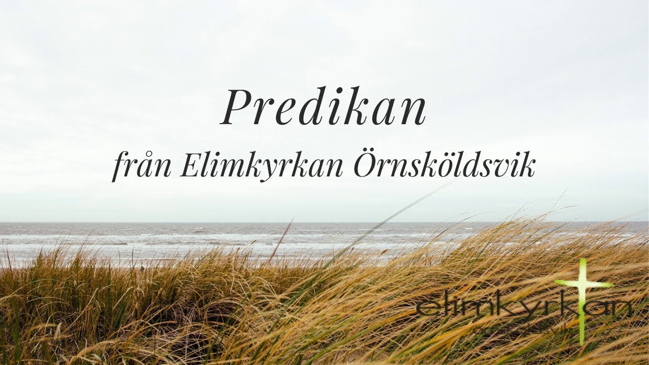 Predikan 2025 11 09