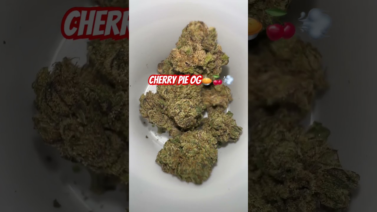 Cherry Pie Og🍒🥧🔥⛽️💨 by Sunmed #420community #stayhigh #cannabiscommunity
