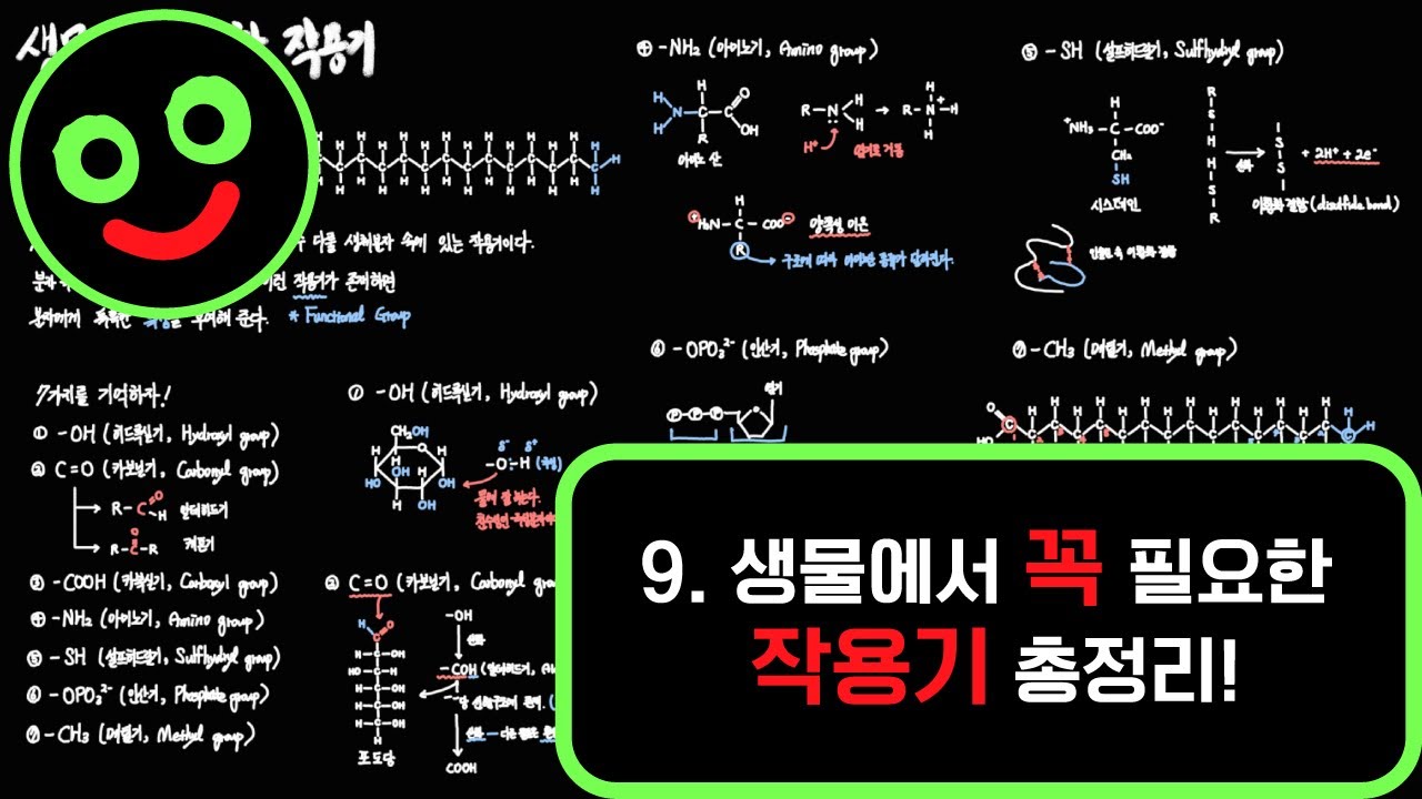 생물 공부에 꼭 필요한 작용기 총정리 (히드록실기, 케톤기, 카복실기, 아미노기, 알데히드기, 인산기, 메틸기, 설프히드릴기)  l 캠벨 생명과학 61p~65p