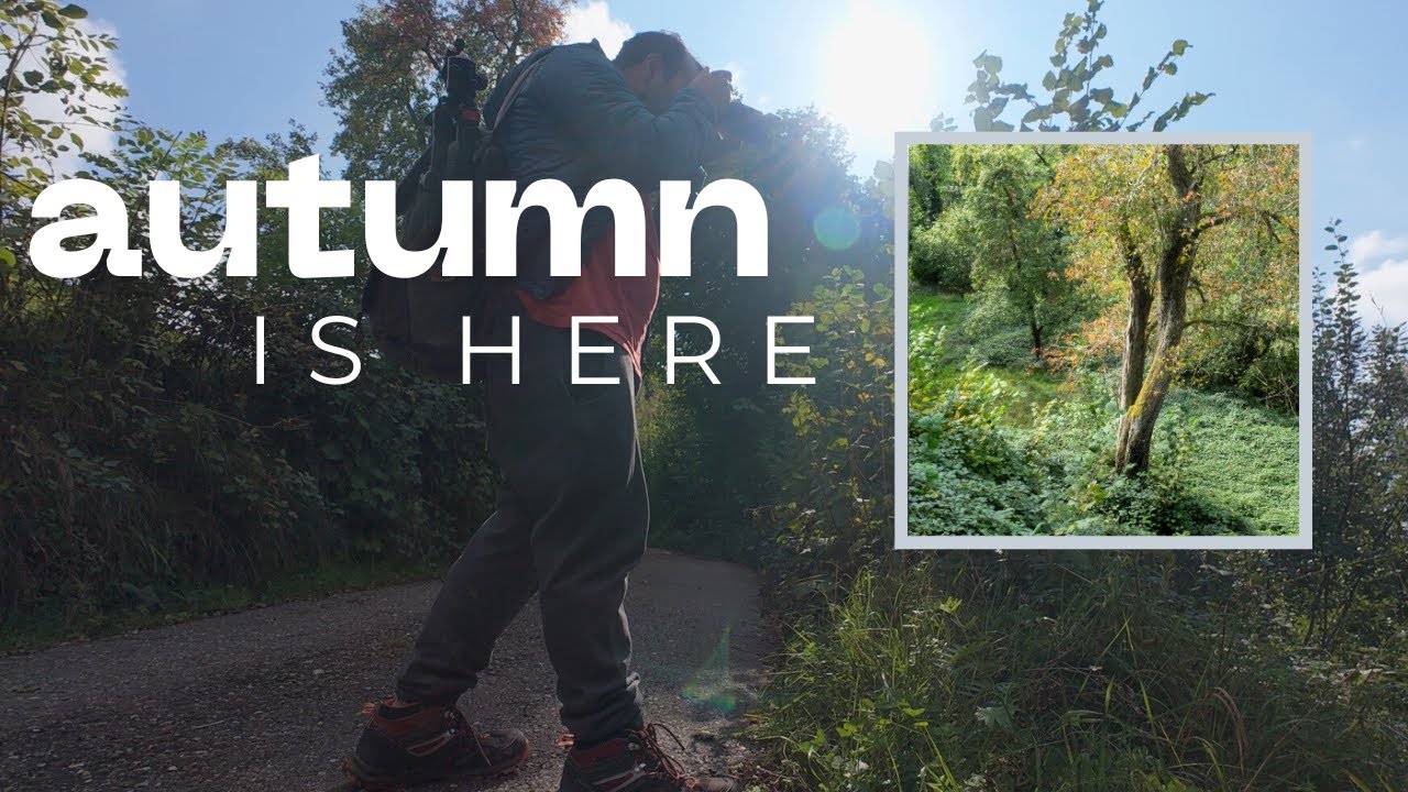 Landscape Photography | A Taste of Autumn