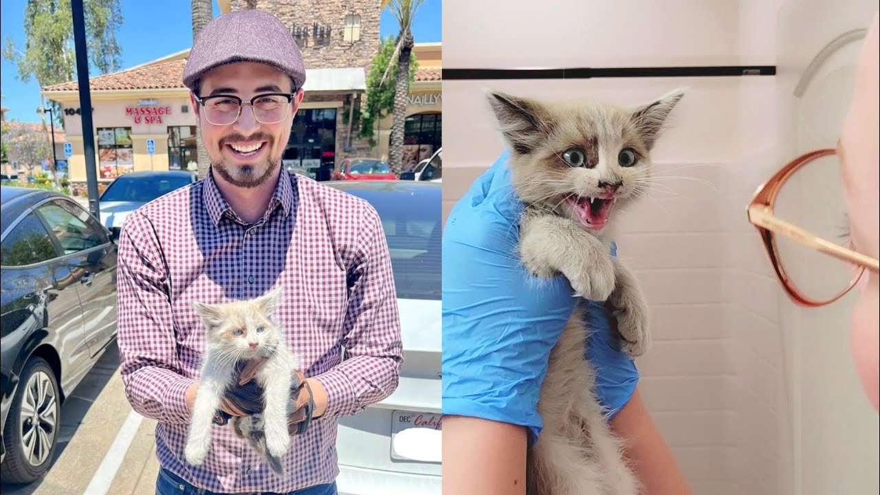 Kameron found a KITTEN at work! | Vlog #219