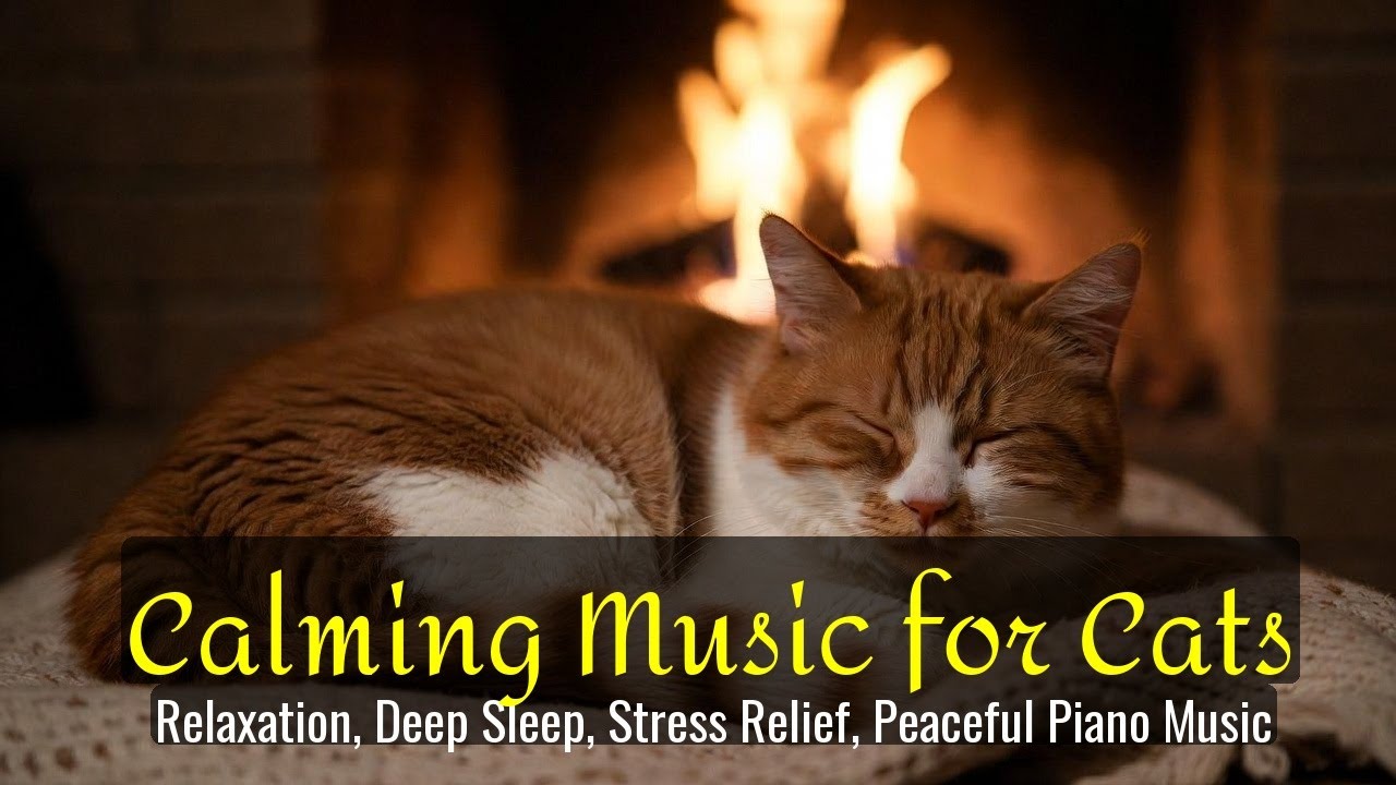 Calming Music for Cats - Relaxation, Deep Sleep, Stress Relief, Peaceful Piano Music | Season 66