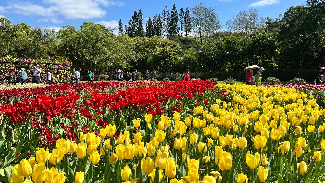 2026-03-15士林官邸公園