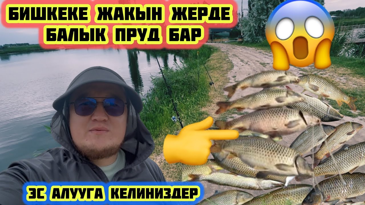 Көргүлө!!! Балык кармап ҮЙ БҮЛӨӨН МЕНЕН эс АЛ. Бишкеке жакын дерде ЧАСТНЫЙ ПРУД бар.ЭС АЛЫҢЫЗДАР