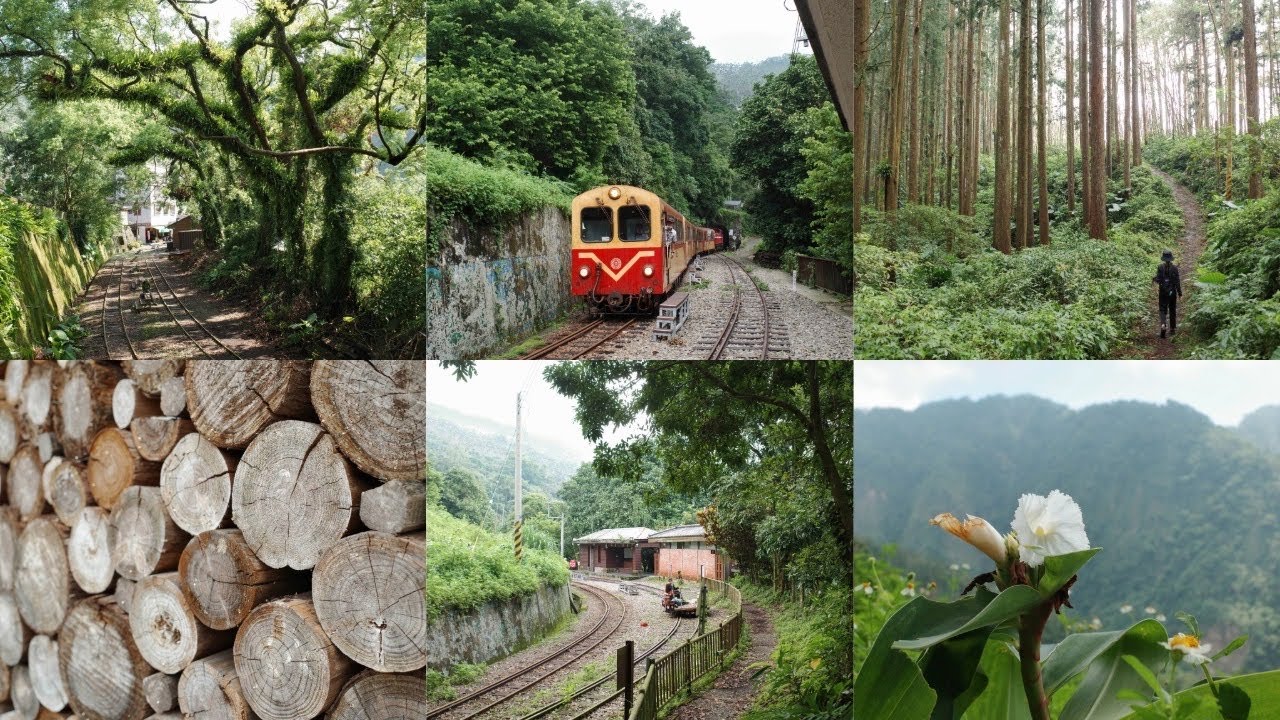 獨立山國家步道⛰️ l 樟腦寮車站起登路線這樣走 ！意外搭上阿里山小火車🫢