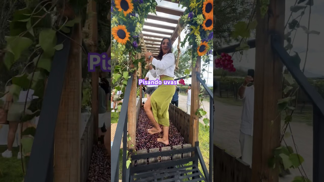 Pisando uvas 🍇 con sabor a patas 🤣