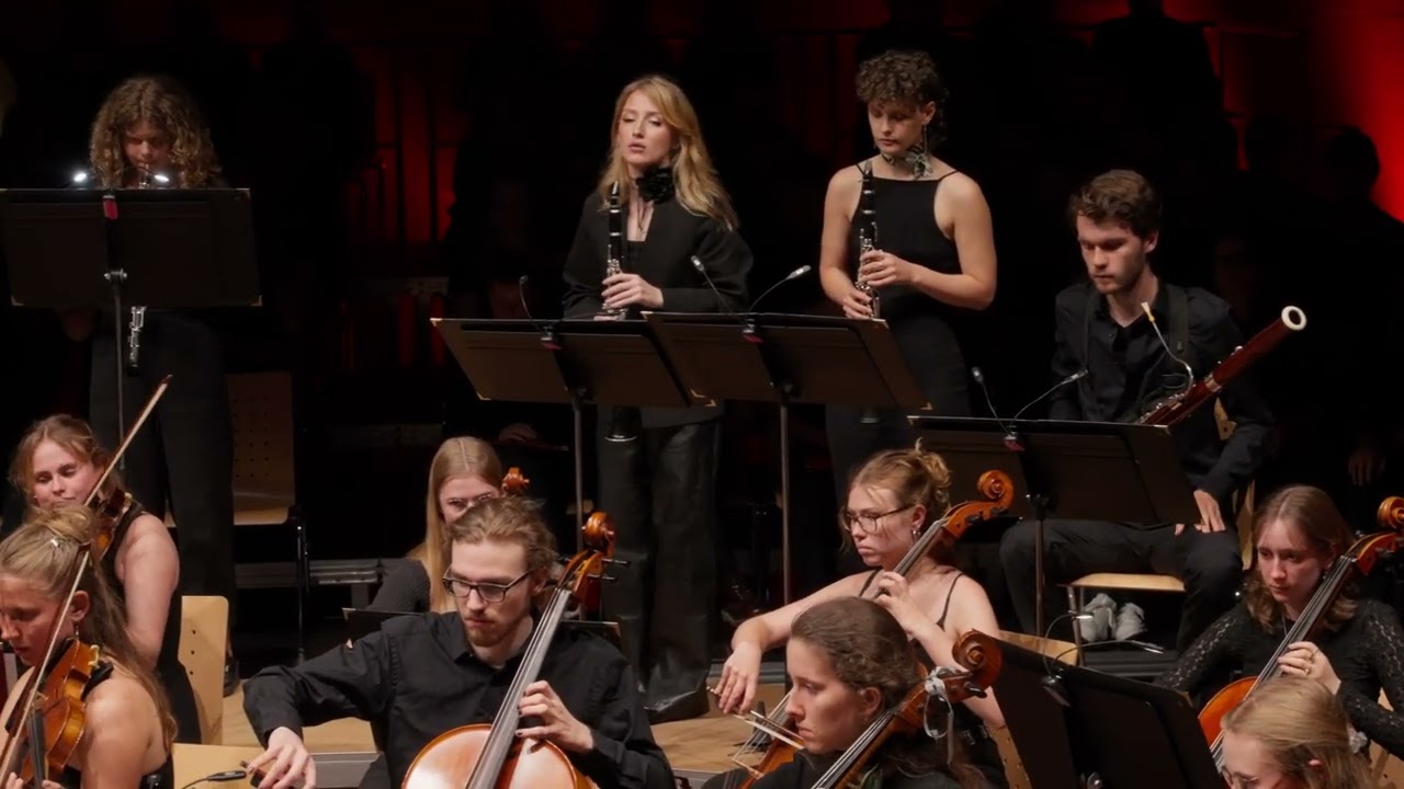 KONSTANTIN EGENSPERGER & LEUPHANA ORCHESTER: Klavierkonzert KV 466, 1. Allegro | W A Mozart