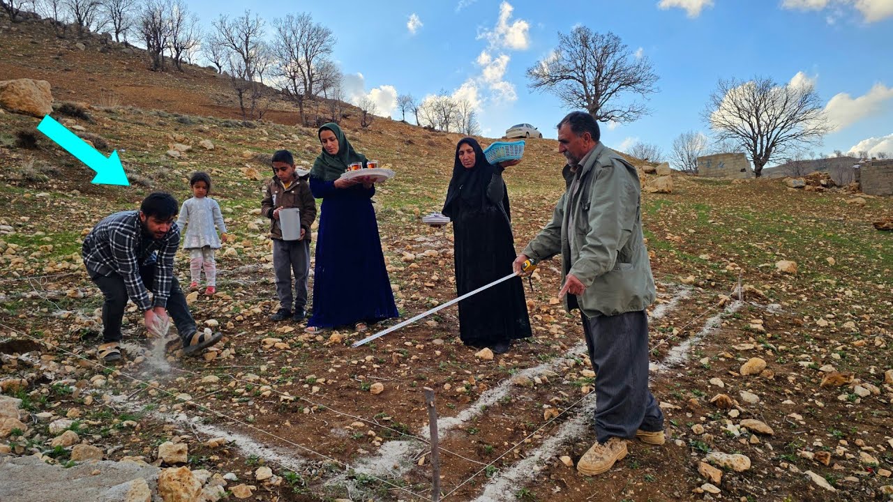 Nomadic Life: Nemat and Fatemeh's Confusion with the Nurse's Family