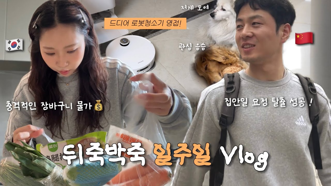 시안 Vlog 🇨🇳 동갑내기 한중커플 | 뒤죽박죽 일주일 일상 | 중국 장바구니 물가💰| 남편 회사 근처 한식당 투어 | 집안일 요정 탈출🎵 드리미 로봇청소기 내돈내산 후기