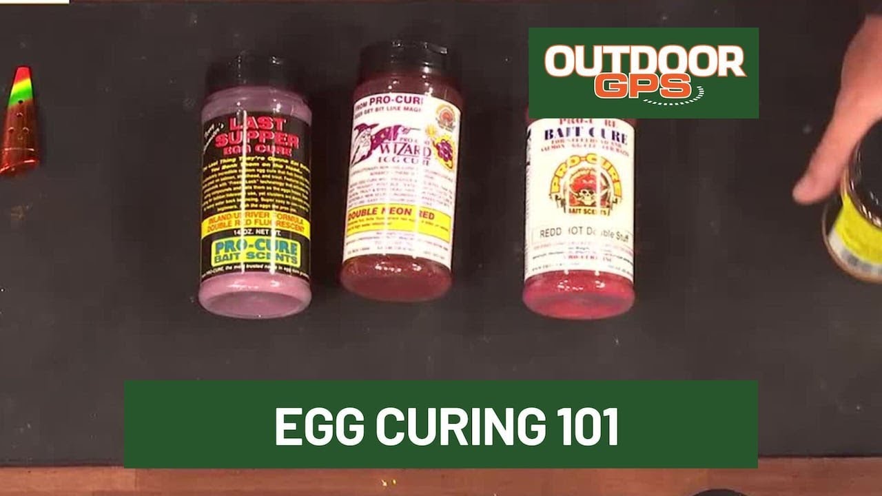 Outdoor GPS 8/23 Egg Curing 101