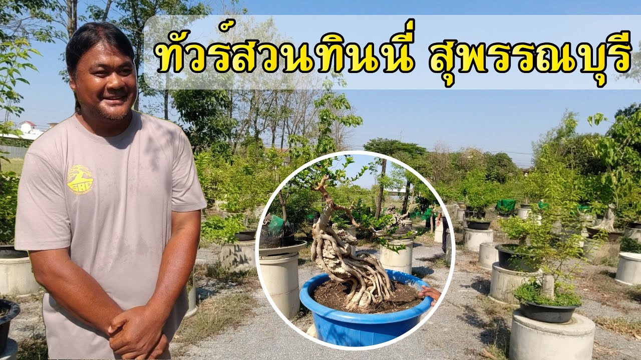 Bonsai Station [Tour Station] EP.34 ทัวร์สวนทินนี่ สุพรรณบุรี