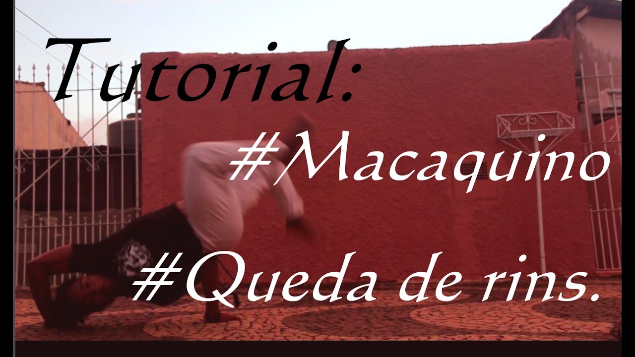 Tutorial #24 Aú/Queda de rins/Macaquinho/Carneirinho.