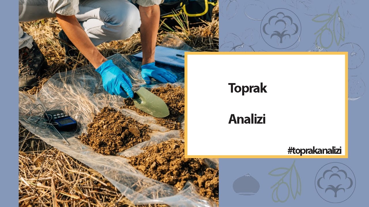 Toprak Örneği Nasıl Alınır?