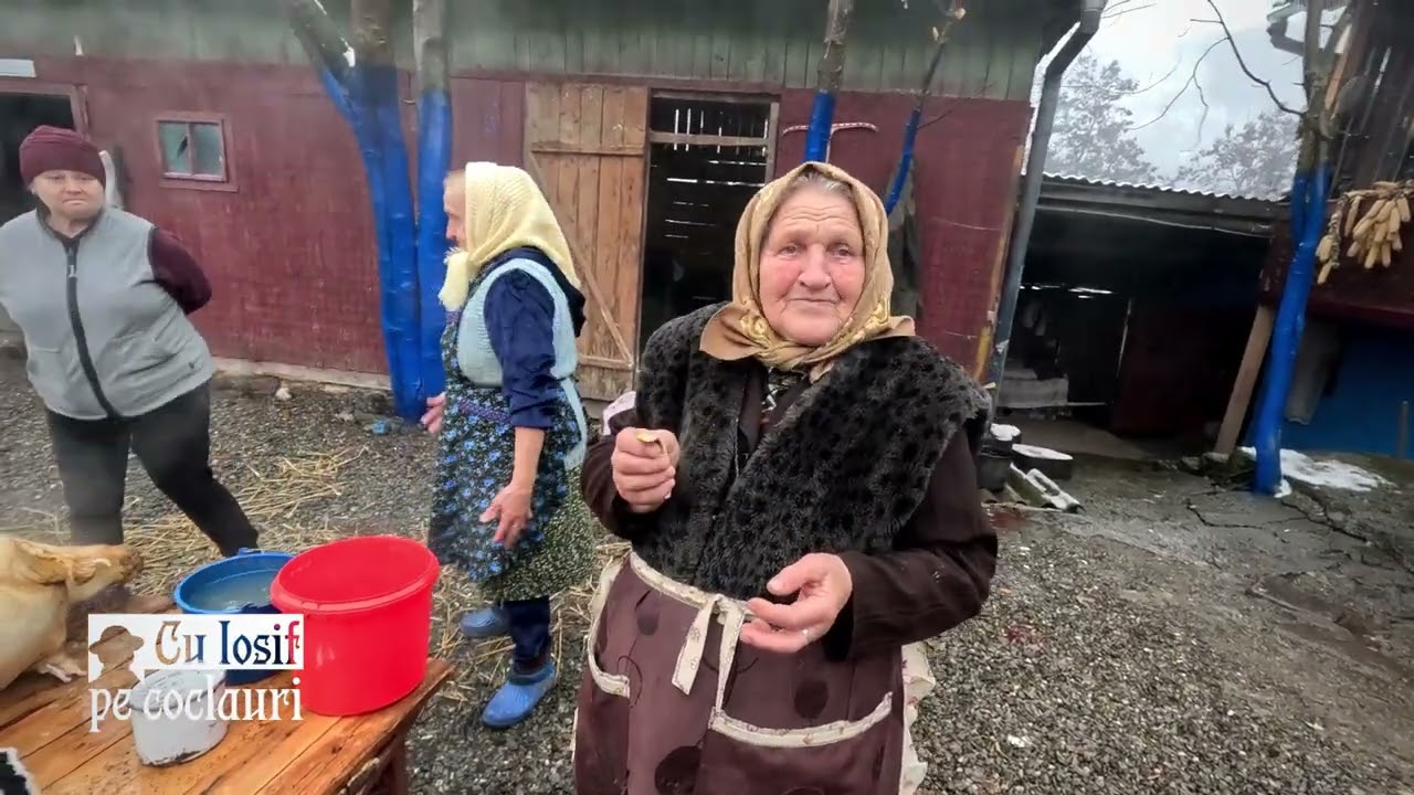 📍 TĂIATUL PORCULUI: acasă la lelea FLOAREA COSMI (87 de ani) din RUNCU SALVEI, jud. BN ( 🆕 2024 )