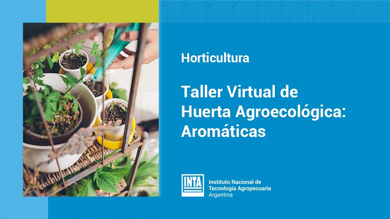 Taller Virtual de Huerta Agroecológica (Modulo 2: Aromáticas en la Huerta)