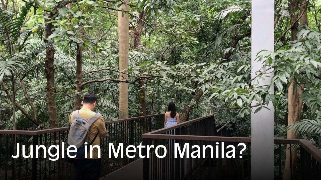 Manila’s Hidden Jungle: I Found a Forest in the Middle of the City! 🇵🇭