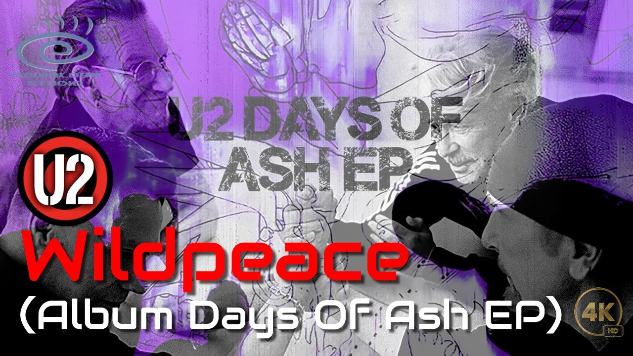 U2, Adeola & Jacknife Lee - Wildpeace (Instrumental Reinterpretation)