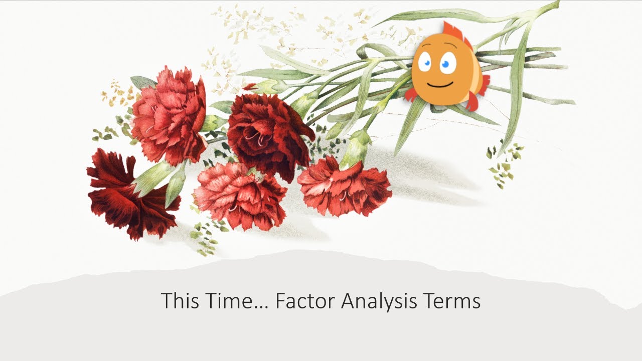 Factor Analysis Terminology (09.06)