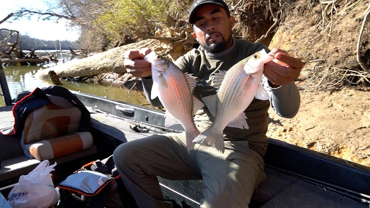 Pescando Y Cocinando En Un Río Lleno De Peces