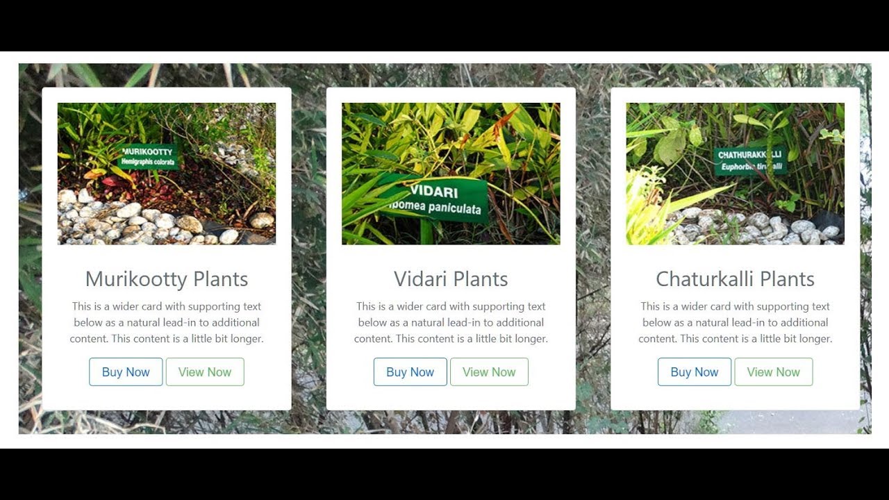 Bootstrap 4 Tutorial - Designing eCommerce website with Bootstrap 4