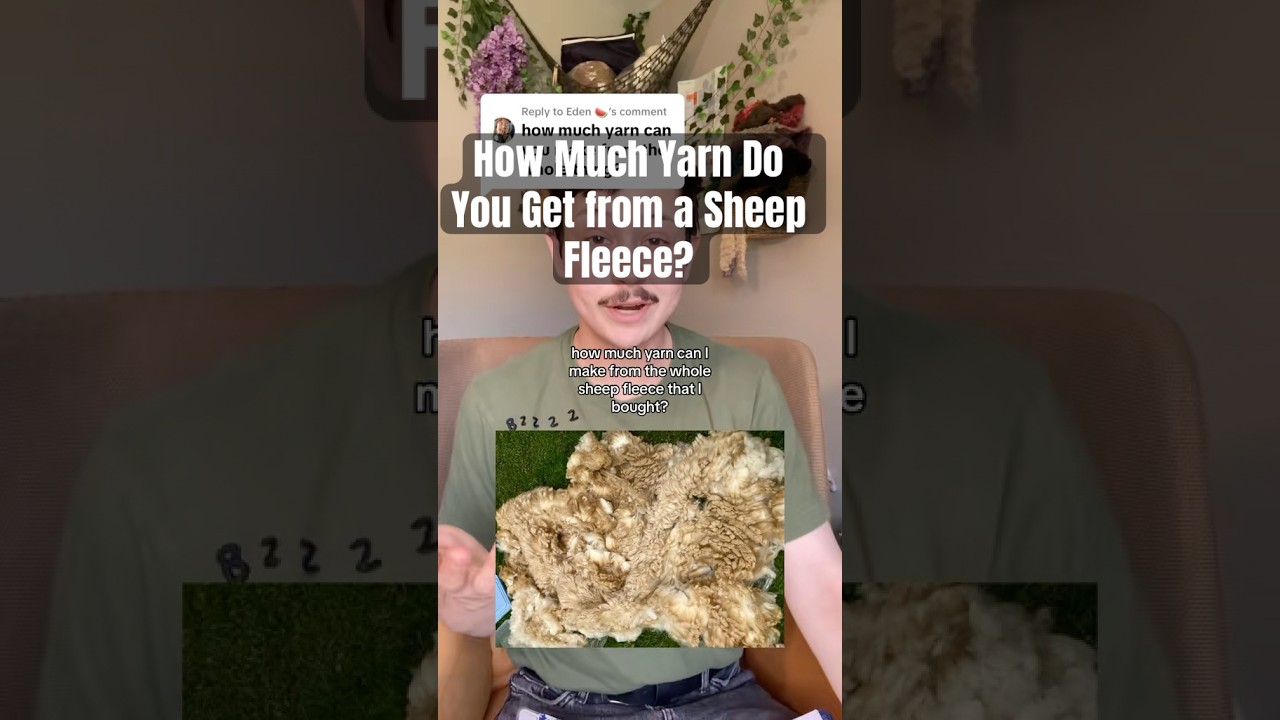 How much yarn do you get from one sheep fleece? #diy #yarn