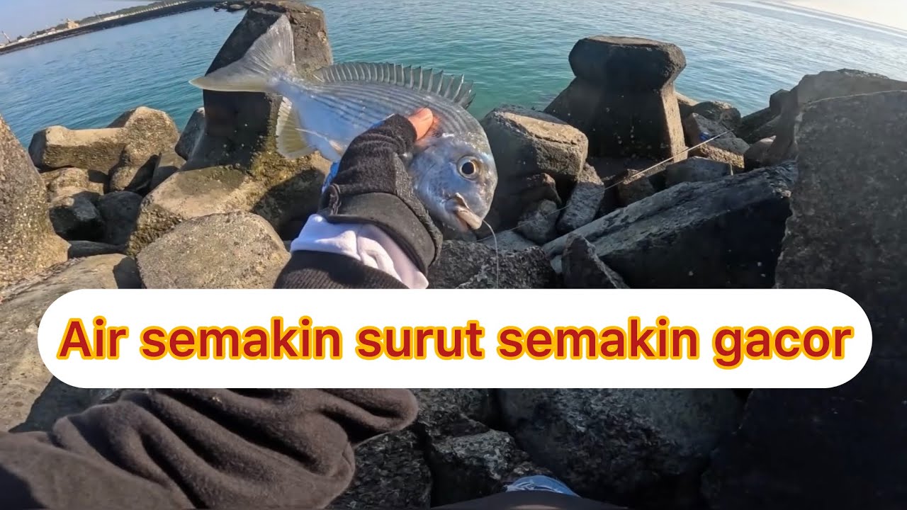 AIR SURUT MAKIN GACOR‼️ FISHING in TAIWAN