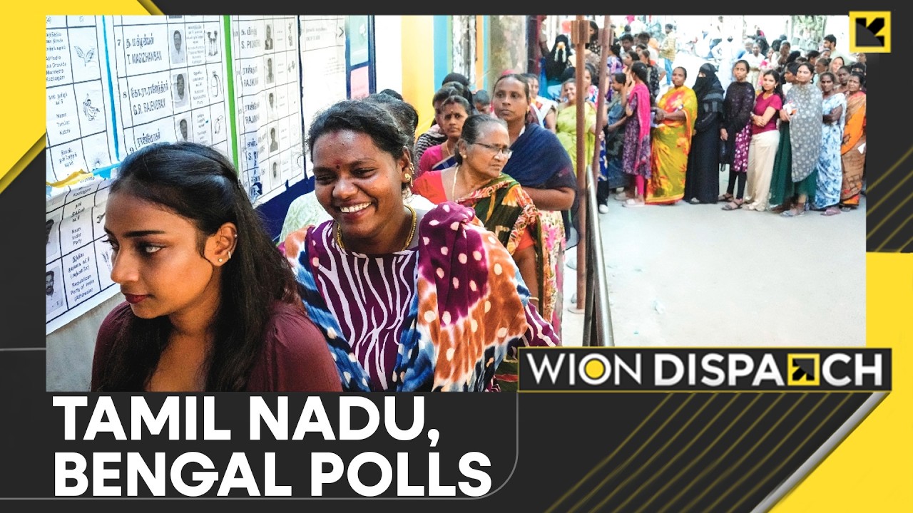 TVK Wins Dharampur; BJP Wins Nandigram, Rejinagar Bypoll Seats | WION Dispatch