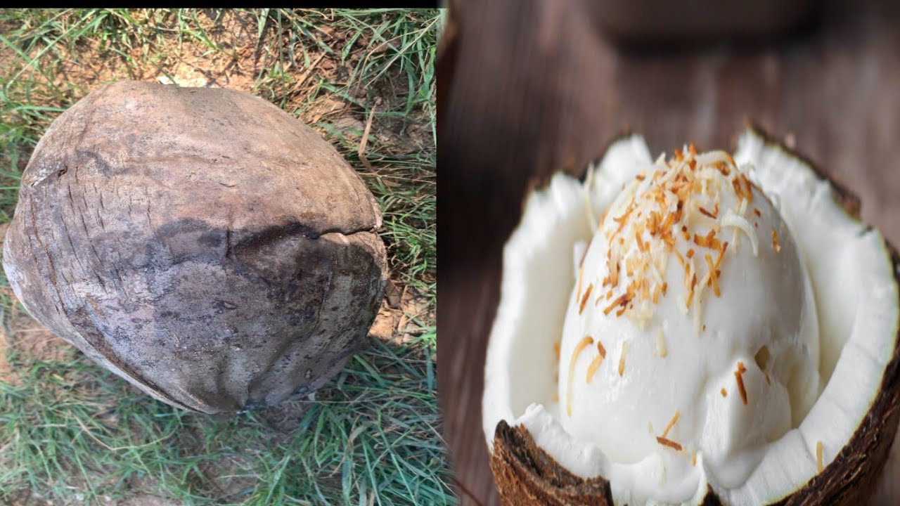 Кокосовое мороженое – одно из лучших | Без молочных продуктов | Без использования аппарата
