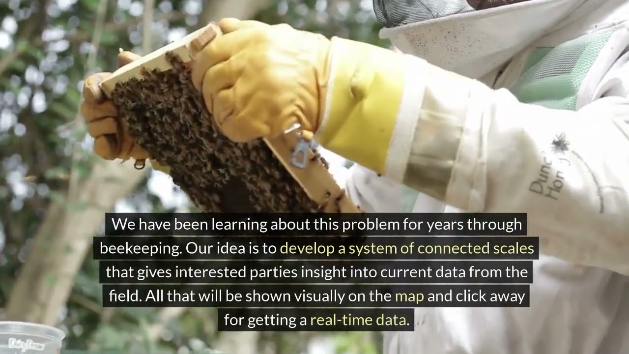 Bee scale Map video for Smart Start